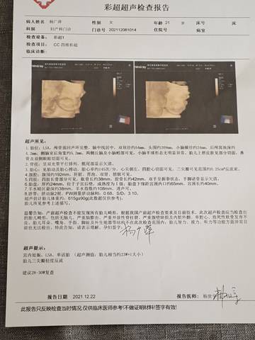 journal_insert_pic_1685808066