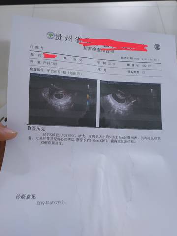 journal_insert_pic_1676714482