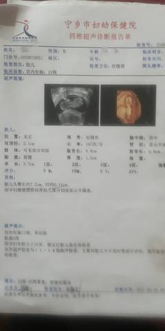 journal_insert_pic_1684970346