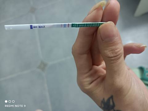 journal_insert_pic_1683951977