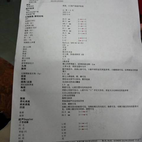 journal_insert_pic_1688562184