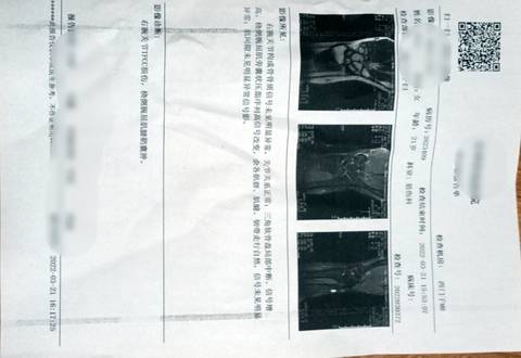 journal_insert_pic_1741127985