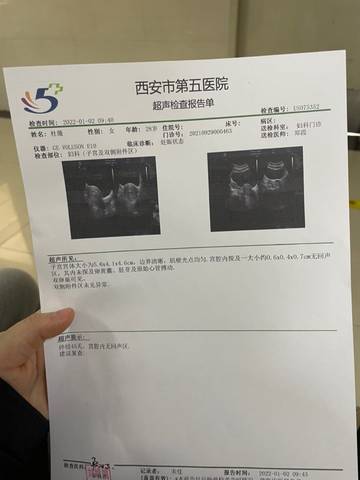 journal_insert_pic_1690581746