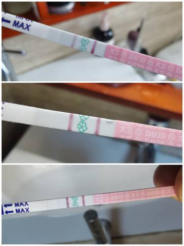 journal_insert_pic_1685260091