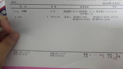 journal_insert_pic_1687265802