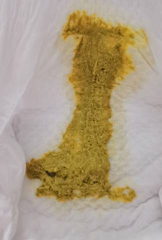 journal_insert_pic_1685189071