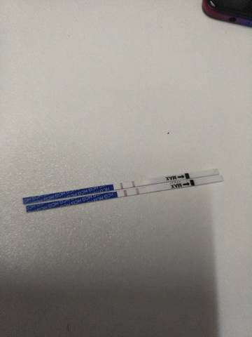 journal_insert_pic_1676153760