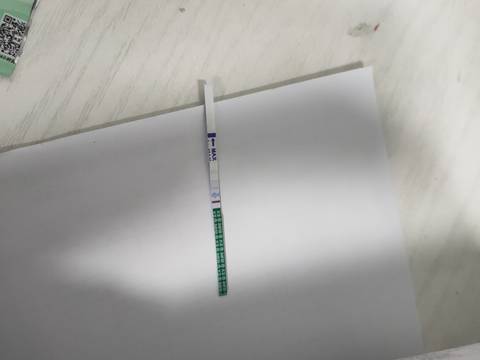 journal_insert_pic_1687209660