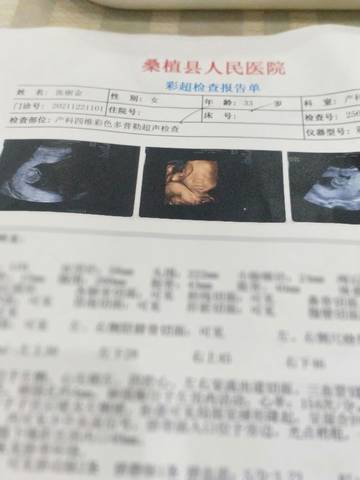 journal_insert_pic_1683768506