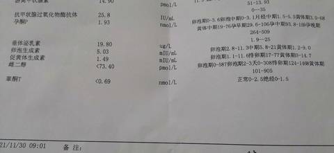 journal_insert_pic_1673604078