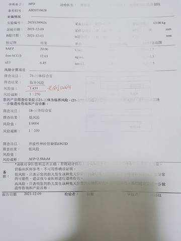 journal_insert_pic_1686066189