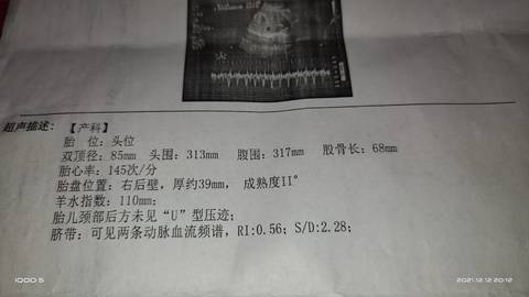 journal_insert_pic_1678657328