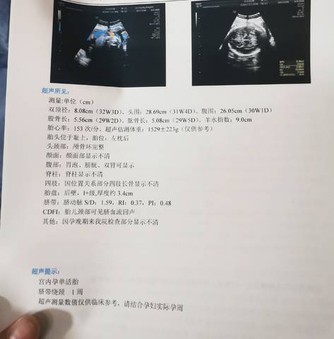 journal_insert_pic_1682623205