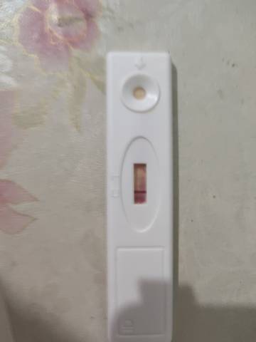 journal_insert_pic_1684556180