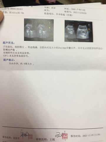 journal_insert_pic_1678032964