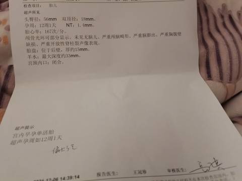journal_insert_pic_1675399758