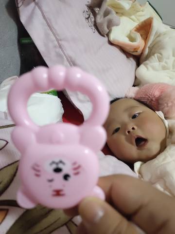 journal_insert_pic_1679260512