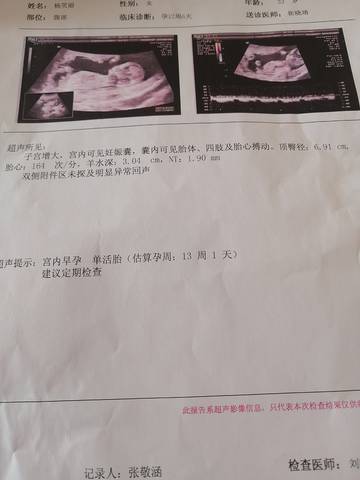 journal_insert_pic_1740942535