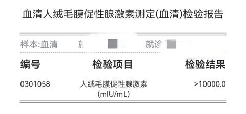 journal_insert_pic_1740890483
