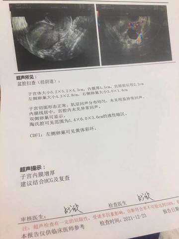 journal_insert_pic_1686430628