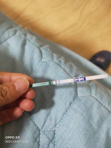 journal_insert_pic_1675563241