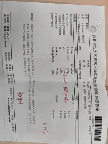 journal_insert_pic_1687303986