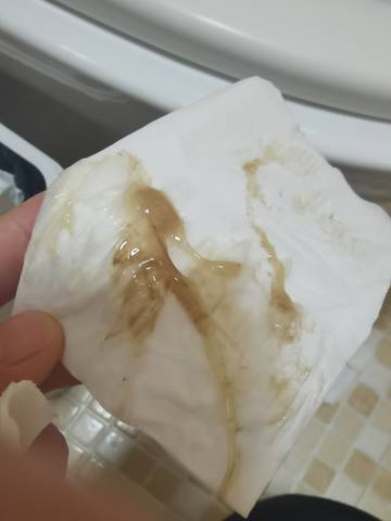 journal_insert_pic_1688096975