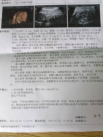 journal_insert_pic_1740842989