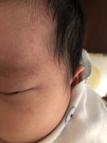 journal_insert_pic_1683645883