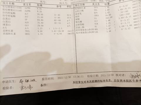 journal_insert_pic_1689477711