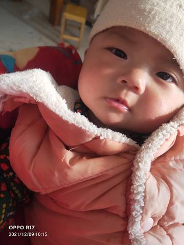 journal_insert_pic_1676610005