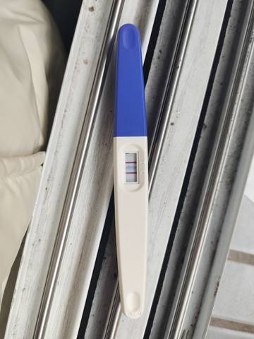 journal_insert_pic_1719590206