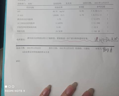 journal_insert_pic_1686403053