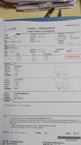 journal_insert_pic_1675091237