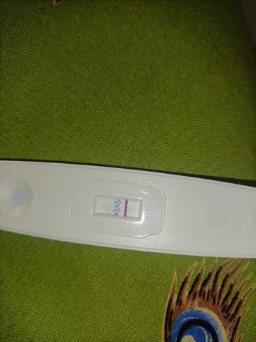 journal_insert_pic_1682329722