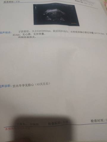 journal_insert_pic_1685481126