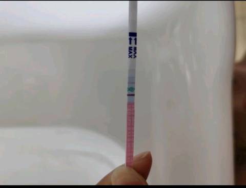 journal_insert_pic_1683755290