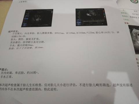 journal_insert_pic_1684339597