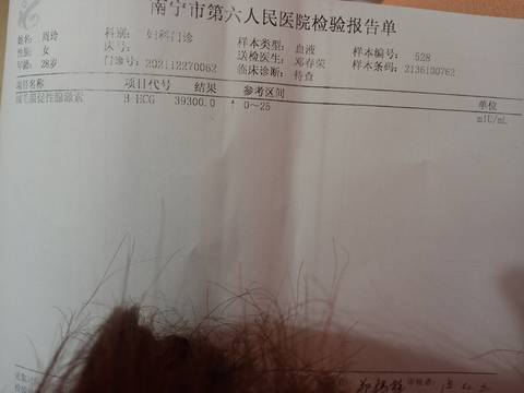 journal_insert_pic_1687276224