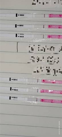 journal_insert_pic_1685120165