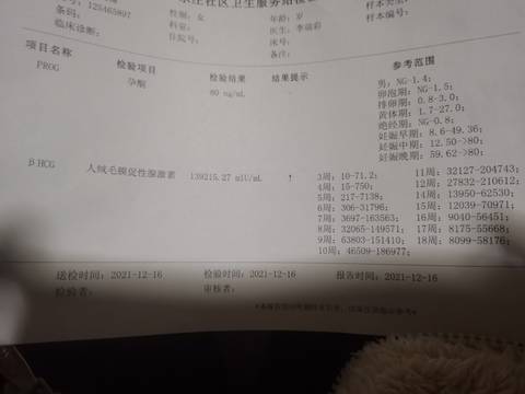 journal_insert_pic_1681057345