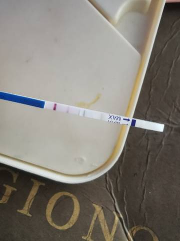 journal_insert_pic_1674288649