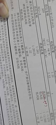 journal_insert_pic_1689679935