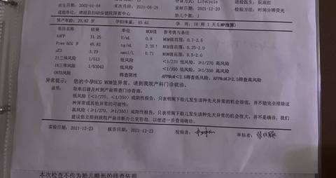 journal_insert_pic_1686034437