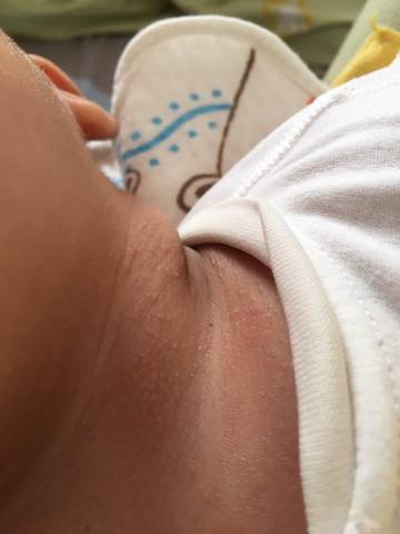 journal_insert_pic_1675506143