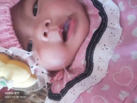 journal_insert_pic_1688992861