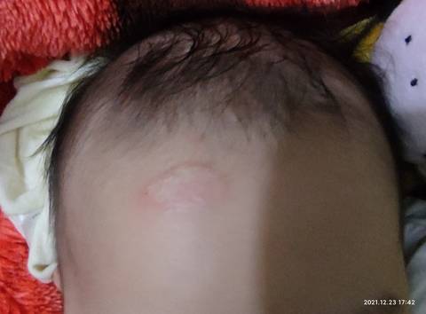 journal_insert_pic_1685012483