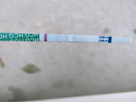 journal_insert_pic_1675067450