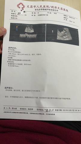 journal_insert_pic_1681369393