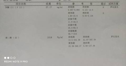 journal_insert_pic_1684908502